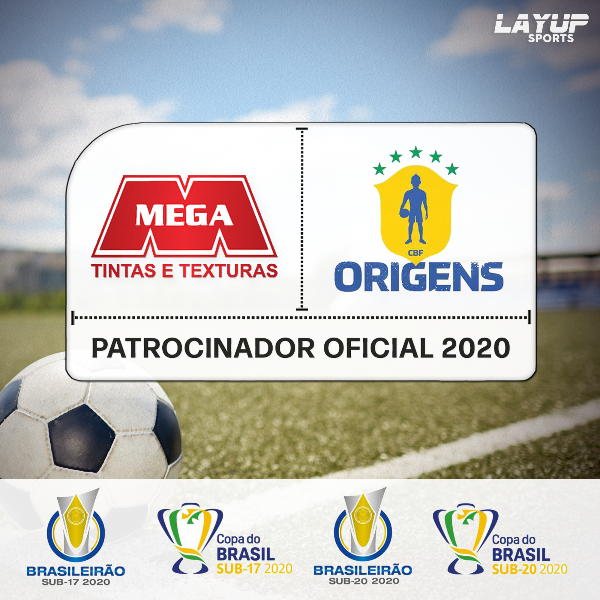 Origens da Mega Evolução!